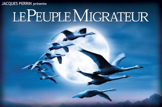 http://www.peuplemigrateur.com/index.jpg