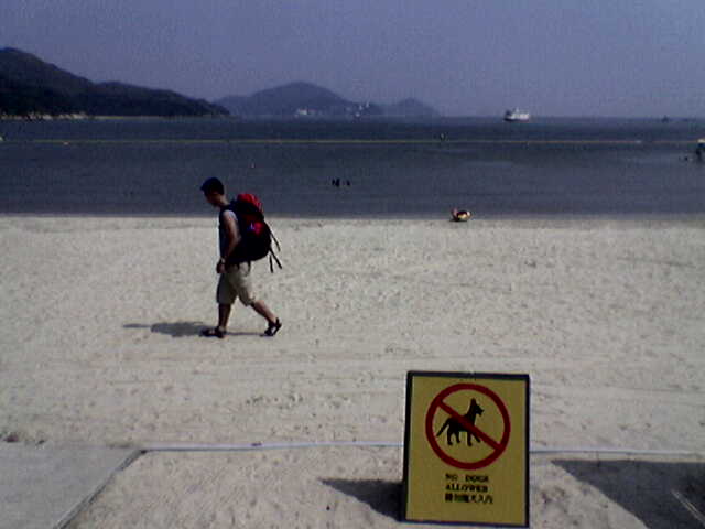 beach