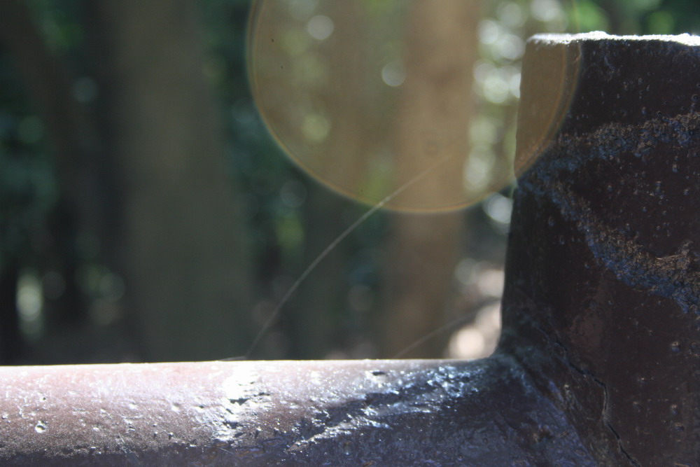 web