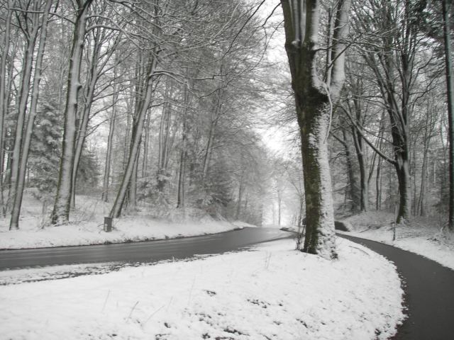 snowscene2