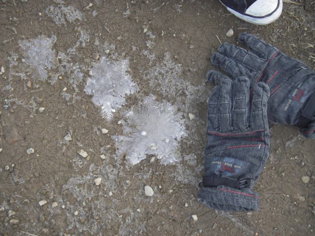 snowflakes