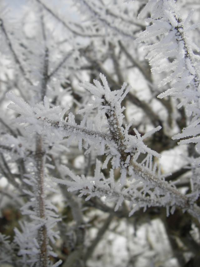snowscene4