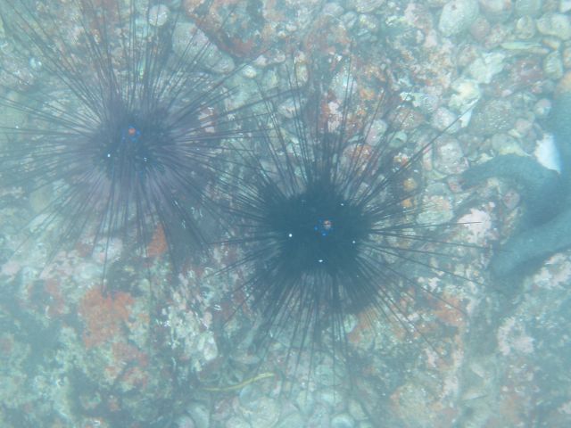 underwater