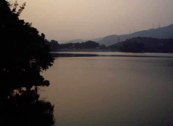 Shing Mun 2