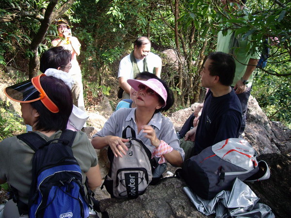 Visitors 2