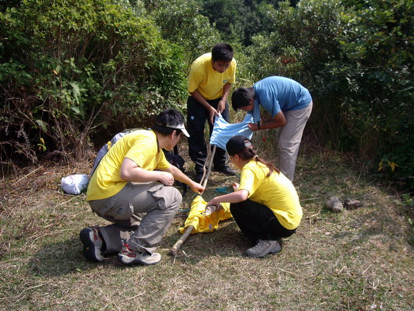 learning 7