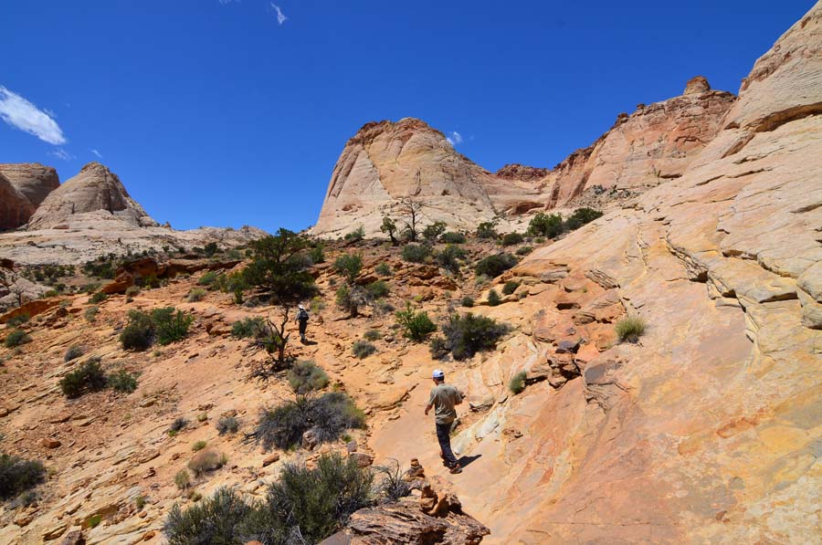 DSC_6424.jpg