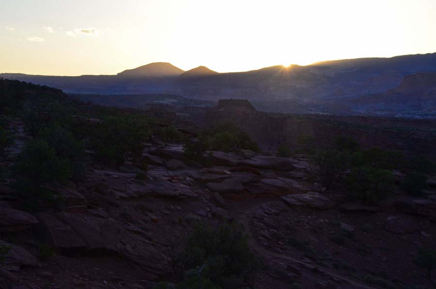 DSC_6463.jpg