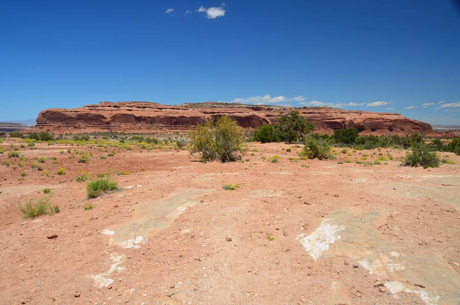 DSC_6514.jpg