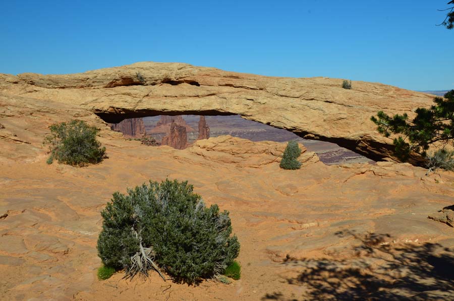 DSC_6554.jpg