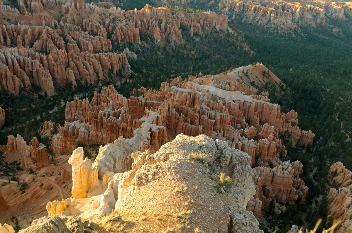 DSC_6268.jpg