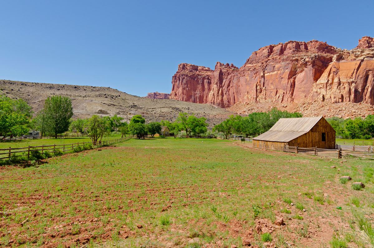 DSC_6450.jpg