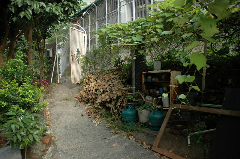 DSC_6804_u.jpg