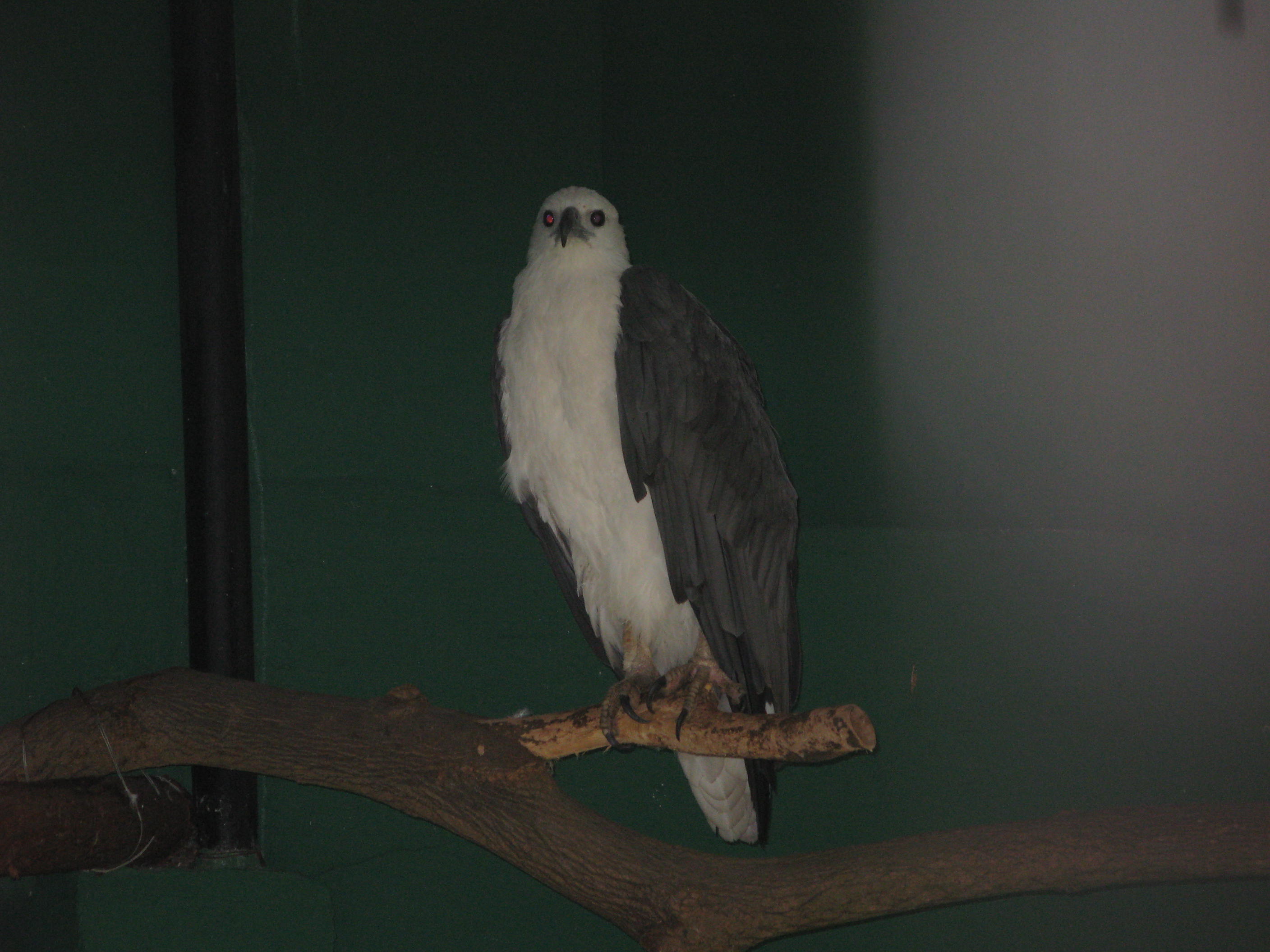 IMG_5661.JPG
