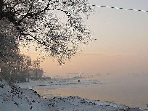 ap_20090224115022668_jpg.jpg