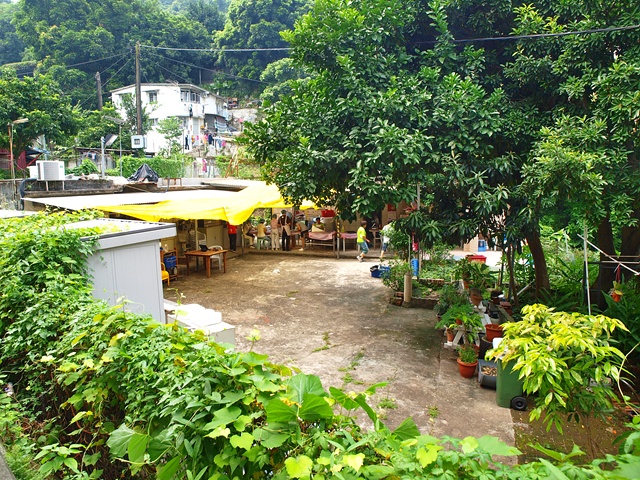 P9195769.JPG