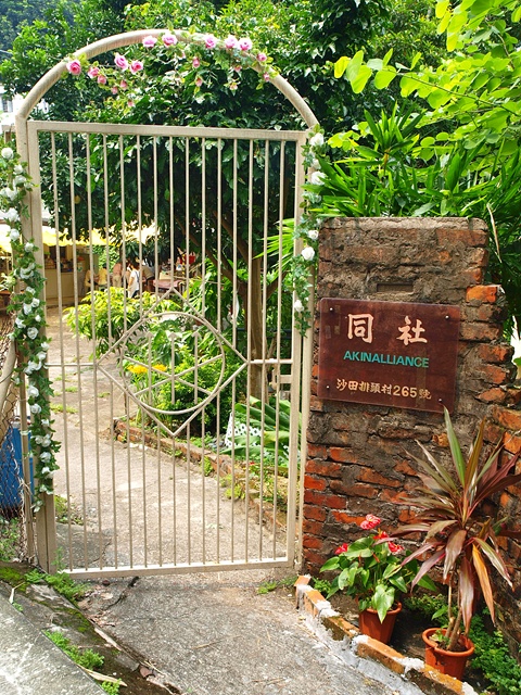 P9195768.JPG