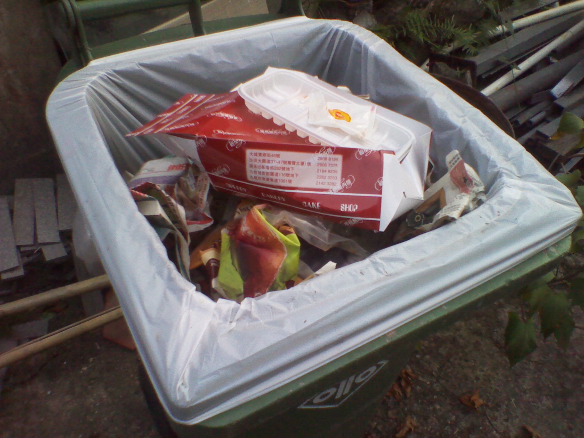 IMG_20111103_170108.jpg