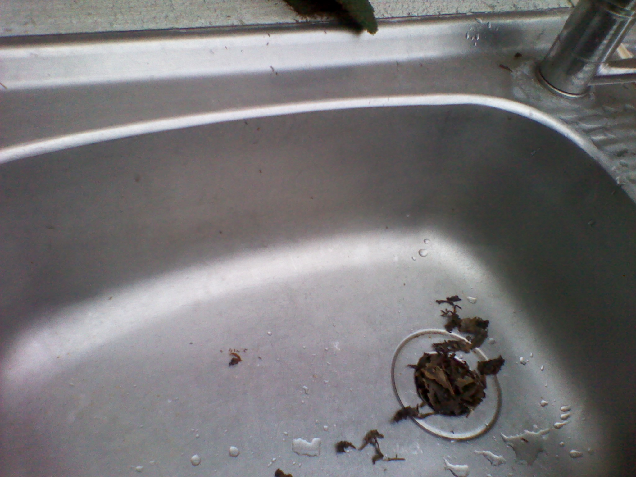 IMG_20111110_161914.jpg